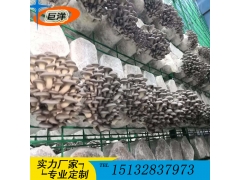 江西省绿色蘑菇网片 现代化大棚出菇网格架 食用菌规模化养殖架图2