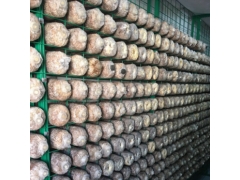 食用菌网格网架生产厂家 发菇房出菇生长架 灵芝养殖架图3