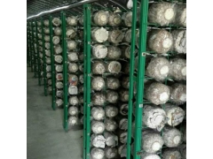 食用菌网格网架生产厂家 发菇房出菇生长架 灵芝养殖架图1