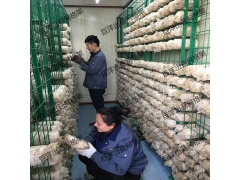 食用菌网格培养架生产厂家 蘑菇养殖网格网架 恒温菇房出菇架图3