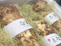 借道成都 虫草出口激增29倍，松茸2.5倍 ()